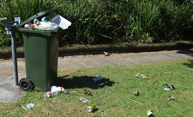 Bin article image