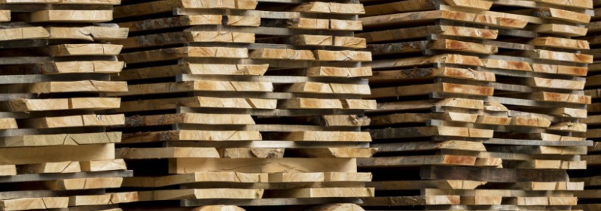 timber wood